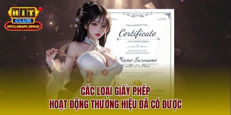 Các loại giấy phép hoạt động thương hiệu đã có được